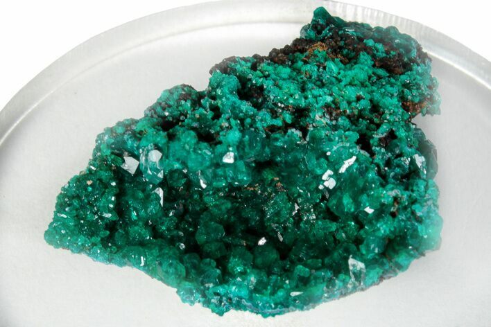 Sparkling Dioptase Crystal Cluster - N'tola Mine, Congo #256940